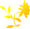 Chyanot